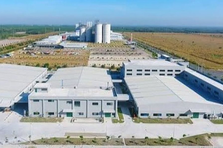 Trường hợp nào đất thuê được miễn lệ phí trước bạ?