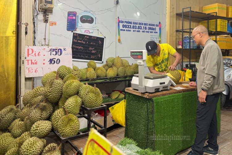 Giữ chất lượng, giữ thị trường sầu riêng