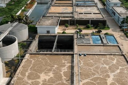 Xác định đối tượng chịu trách nhiệm trong vi phạm về môi trường
