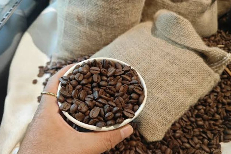 Giá nông sản ngày 9/10/2026: Cà phê và hồ tiêu đồng loạt lao dốc