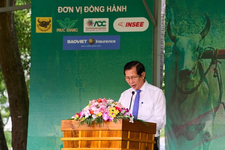 Bình Điền và 5 năm nối dài sức sống di sản Đua bò Bảy Núi