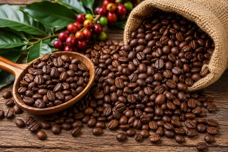Giá nông sản ngày 18/10/2026: Cà phê tái lập mốc 93.000 đồng/kg, heo hơi tiếp tục hạ nhiệt