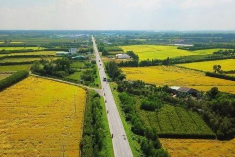 Đất nông nghiệp sát đường tỉnh chuyển sang đất ở cần lưu ý gì?