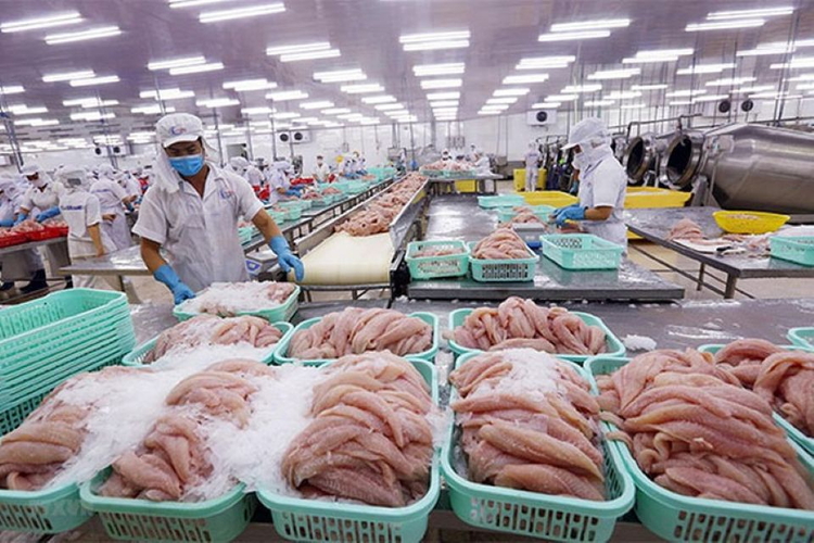 Đổi mới phương thức quản lý và cơ chế kiểm tra thực phẩm trên thị trường