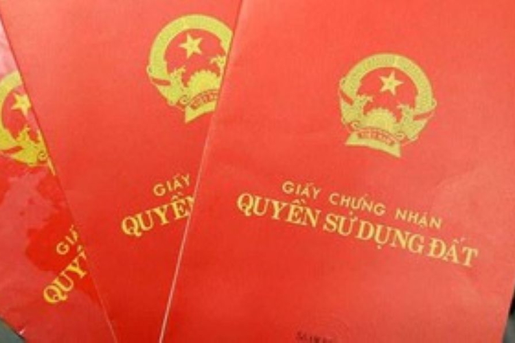 Xác định loại đất ghi trên sổ đỏ theo quy định hiện hành