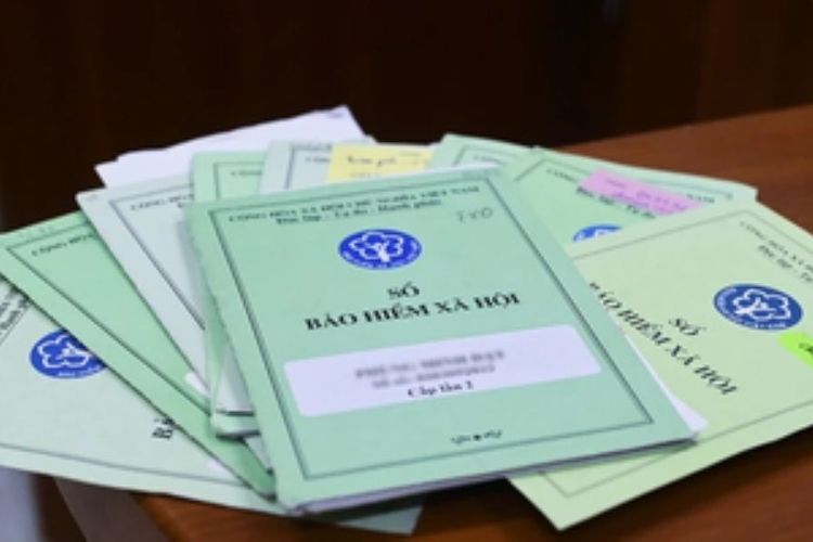 Chủ hộ kinh doanh đã đóng BHXH bắt buộc, hưởng thai sản thế nào?