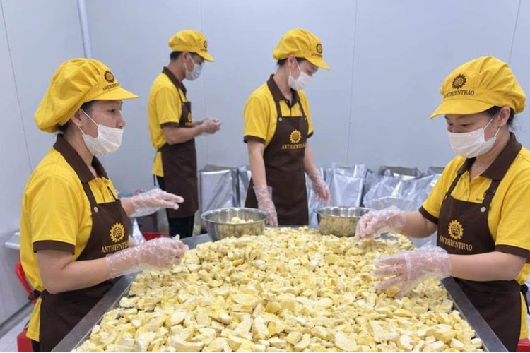 Xuất khẩu rau quả tăng tốc, siết chuẩn để giữ thị trường