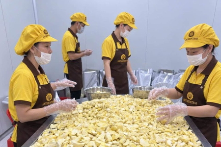 Xuất khẩu rau quả tăng tốc, siết chuẩn để giữ thị trường