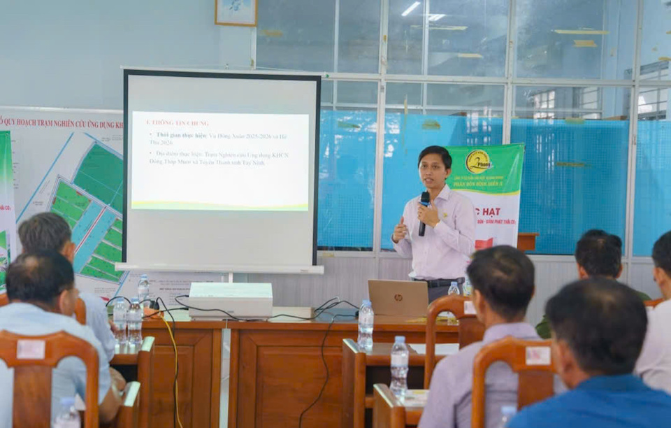 Hội thảo đầu bờ - Nhìn tận mắt hiệu quả từ mô hình trình diễn Lúa Xanh – Chắc Hạt