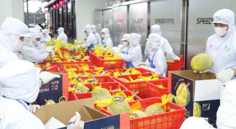 Xuất khẩu rau quả Việt Nam tăng tốc hướng tới mốc 10 tỷ USD