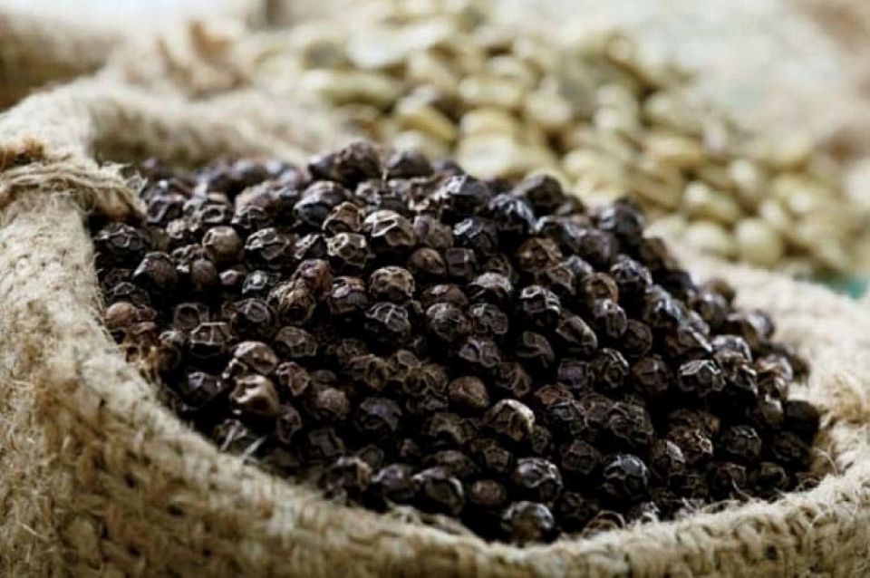 Giá nông sản hôm nay ngày 7/6/2026: Cà phê chạm đáy, heo hơi tiếp tục hạ nhiệt