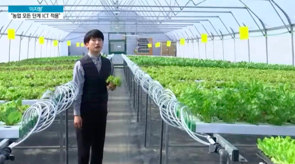 Nông nghiệp công nghệ cao Israel: 4 giải pháp tiêu biểu và cơ hội kết nối hợp tác với Việt Nam