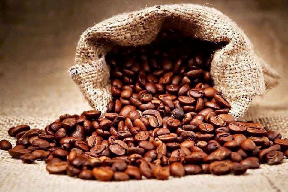 Giá nông sản ngày 3/7/2026: Cà phê chạm mốc 92.000 đồng/kg, hồ tiêu bất ngờ lao dốc