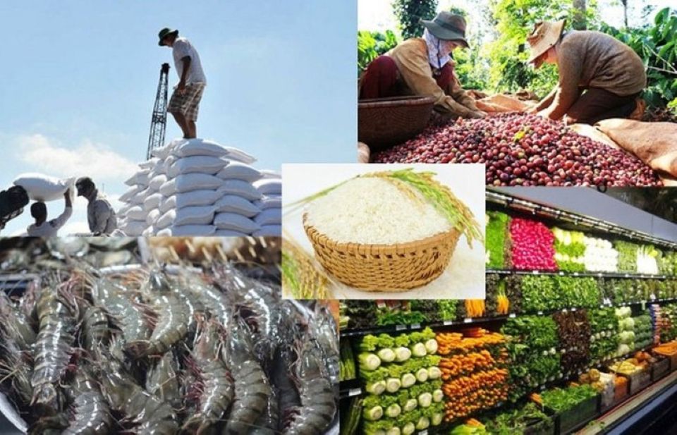 Xuất khẩu nông lâm thủy sản từ 70 đến 100 tỷ USD: Cần những bước đột phá mới