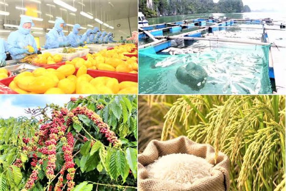 Giảm phát thải: 'Giấy thông hành' cho nông sản xuất khẩu