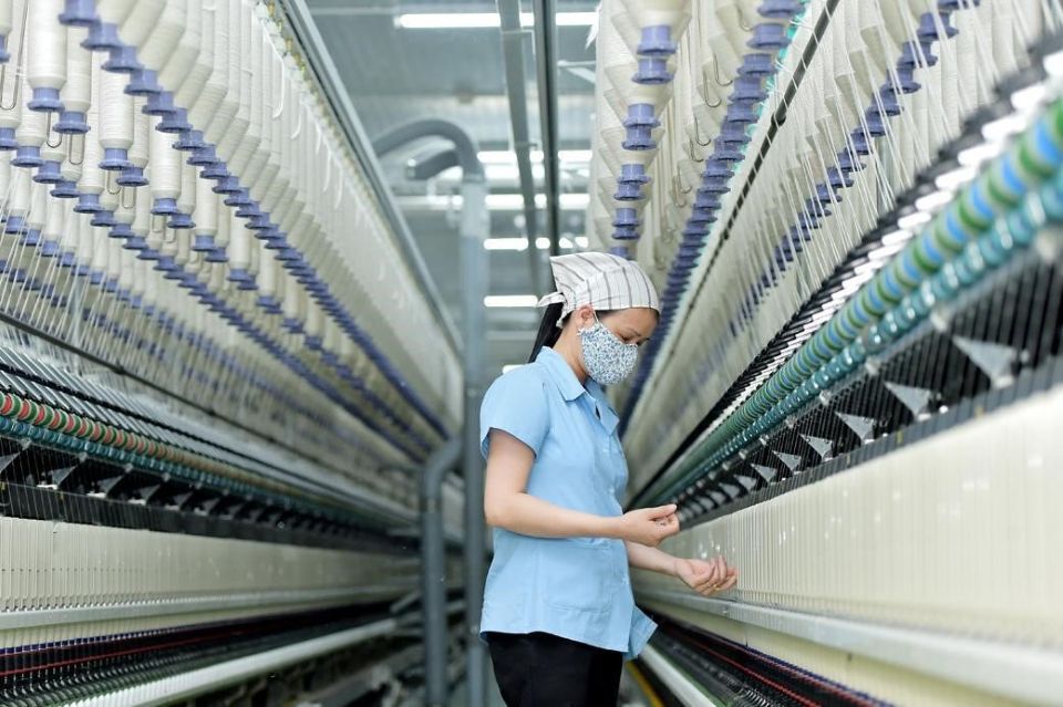 Tăng cường truy xuất nguồn gốc, minh bạch chuỗi cung ứng trước yêu cầu mới của thị trường Hoa Kỳ