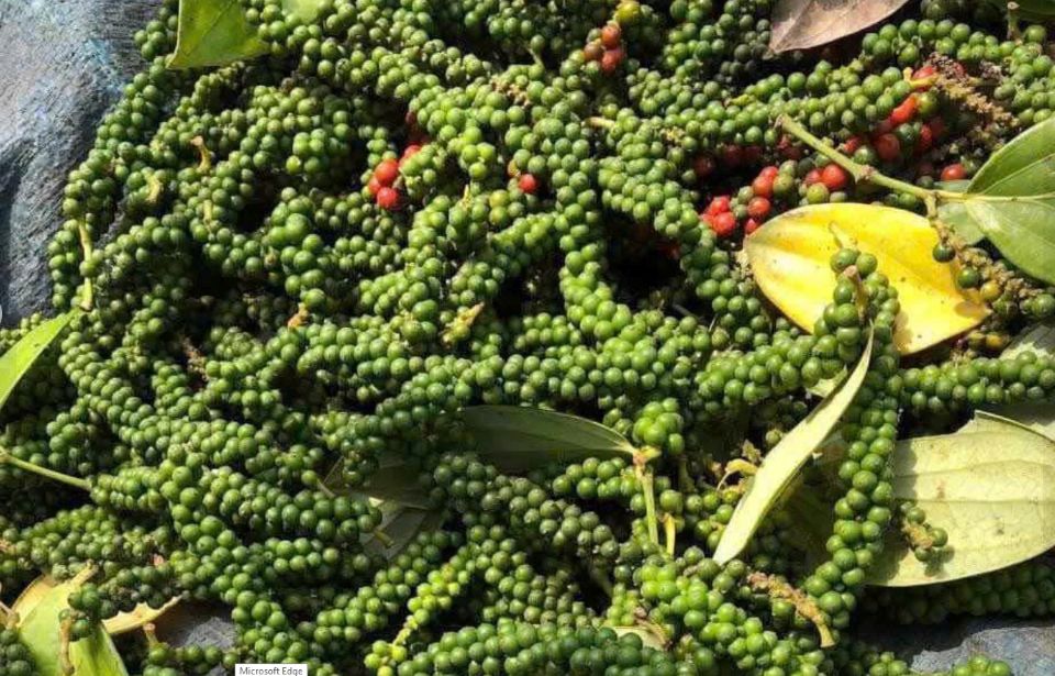 Giá nông sản ngày 29/7/2026: Cà phê và hồ tiêu lấy lại đà tăng