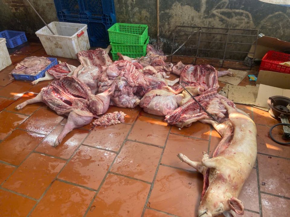 Chuyển cơ quan điều tra vụ gần 1 tấn thịt lợn nghi nhiễm dịch tả lợn châu Phi tại Hưng Yên