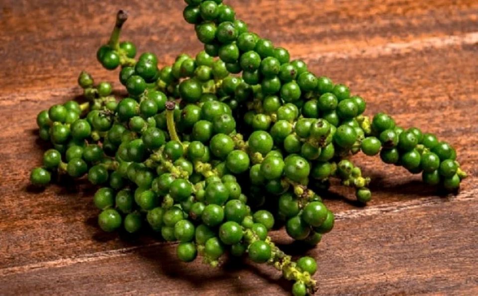 Giá nông sản ngày 4/8/2026: Cà phê và heo hơi cùng giảm