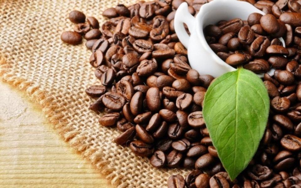 Giá nông sản ngày 11/8/2026: Cà phê lấy lại sắc xanh, heo hơi tiếp tục hạ nhiệt