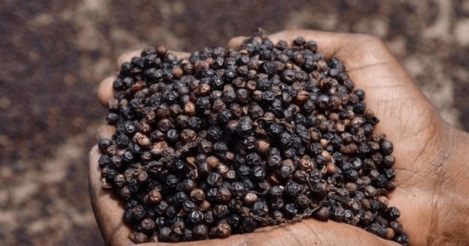 Giá nông sản ngày 5/10/2026: Cà phê khởi sắc, lấy lại mốc 94.000 đồng/kg