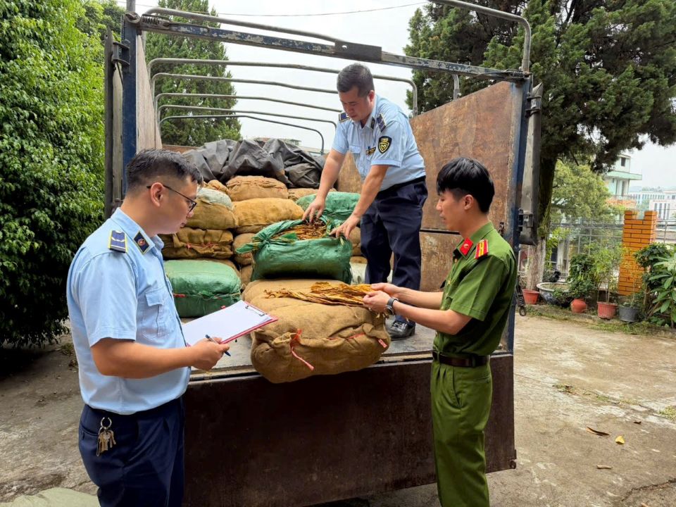 Cao Bằng: Phát hiện trên 1,2 tấn nguyên liệu thuốc lá không rõ nguồn gốc xuất xứ
