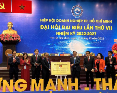 Ông Nguyễn Ngọc Hòa được bầu làm Chủ tịch Hiệp hội Doanh nghiệp TP Hồ Chí Minh