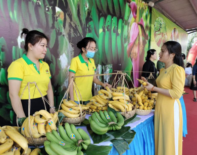 Đồng Nai: Tín hiệu tốt cho xuất khẩu chuối tươi trong tương lai