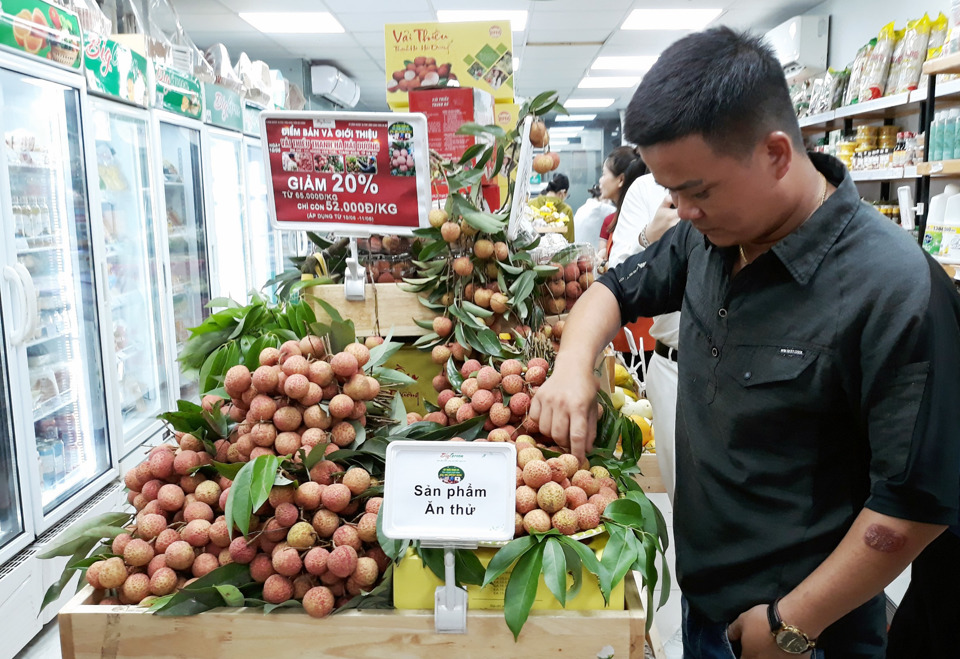 Người tiêu dùng Hà Nội tiếp cận, dùng thử vải thiều Thanh Hà