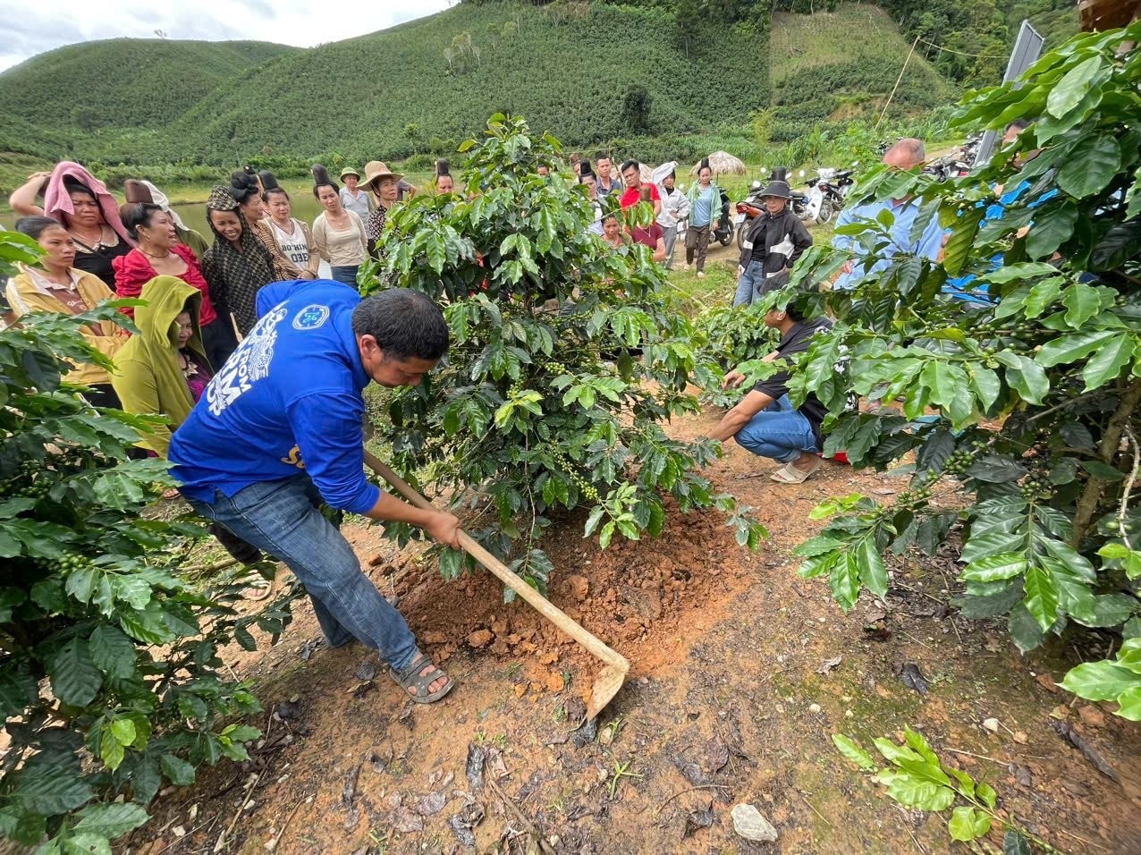 Ngành cà phê đã tiên phong số hóa nguồn gốc xuất xứ, củng cố uy tín trên thị trường quốc tế. Nhờ đó, năm 2025, xuất khẩu cà phê lập kỷ lục mới, kim ngạch hơn 8,92 tỷ USD, tăng 58,8% so với 2024.