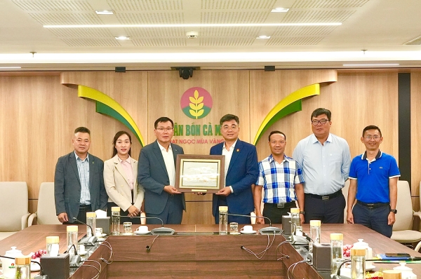PVCFC tăng cường kết nối và mở rộng cơ hội hợp tác với Hyundai Eco Vina