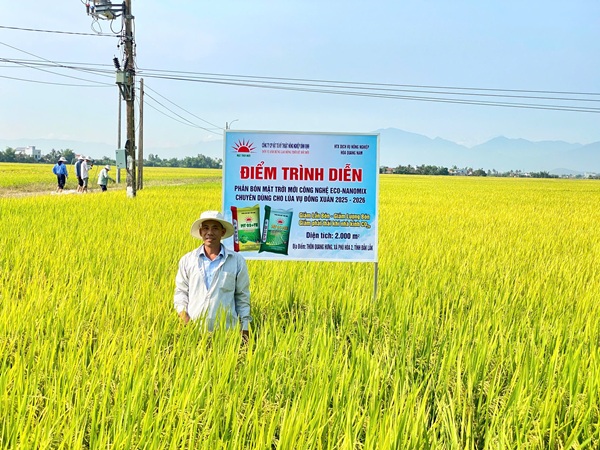 Hiệu quả rõ nét từ mô hình phân bón NPK thế hệ mới trên lúa tại Đắk Lắk 